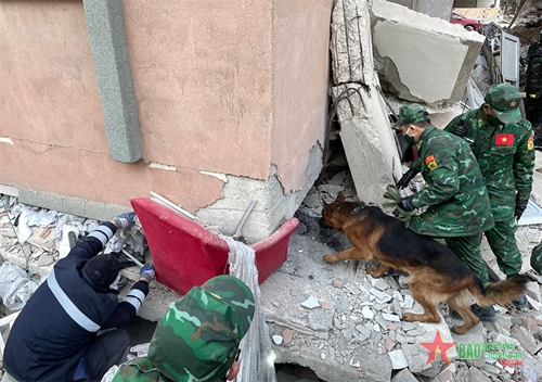 Lực lượng cứu nạn Quân đội nhân dân Việt Nam đã thấy 3 vị trí nạn nhân tại Thổ Nhĩ Kỳ